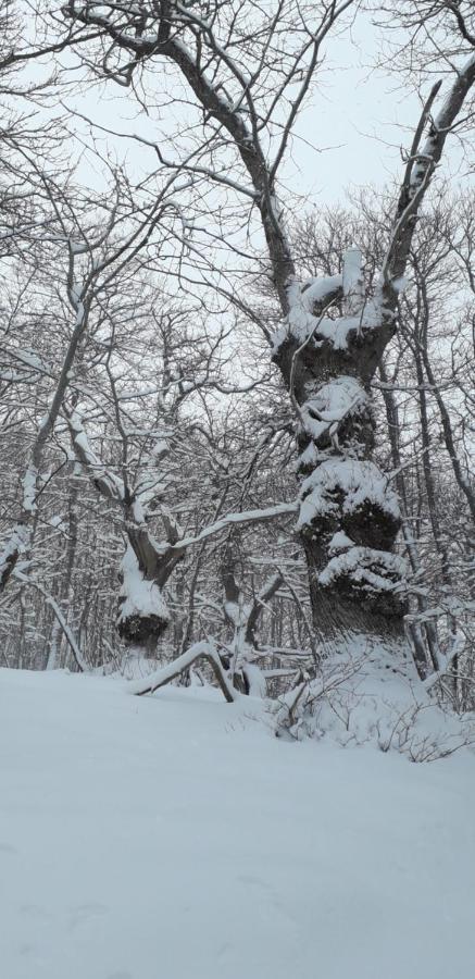 Baita La Stradella Serravalle  ภายนอก รูปภาพ