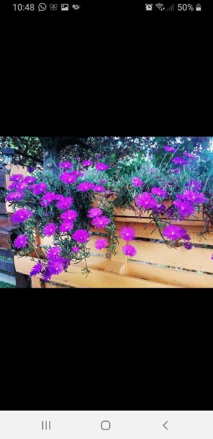 Baita La Stradella Serravalle  ภายนอก รูปภาพ